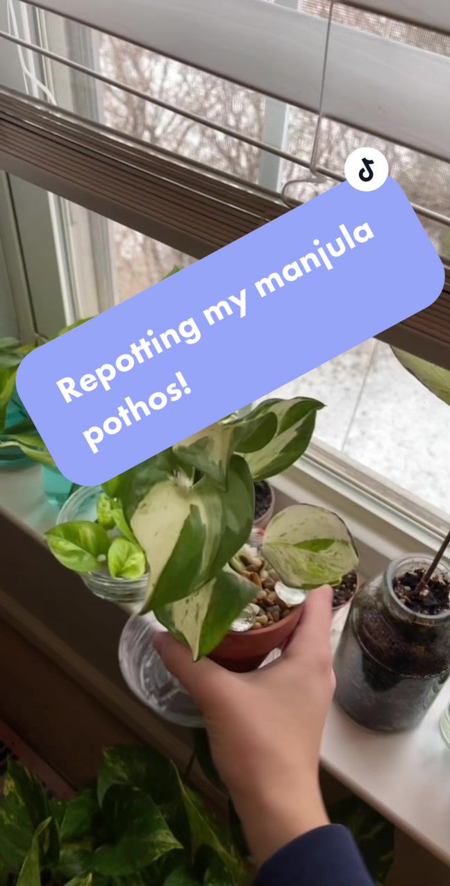 @plants 🌿