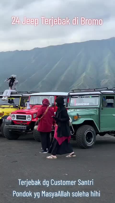 @transbromo