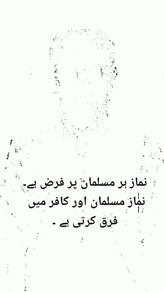 @Mr Usama