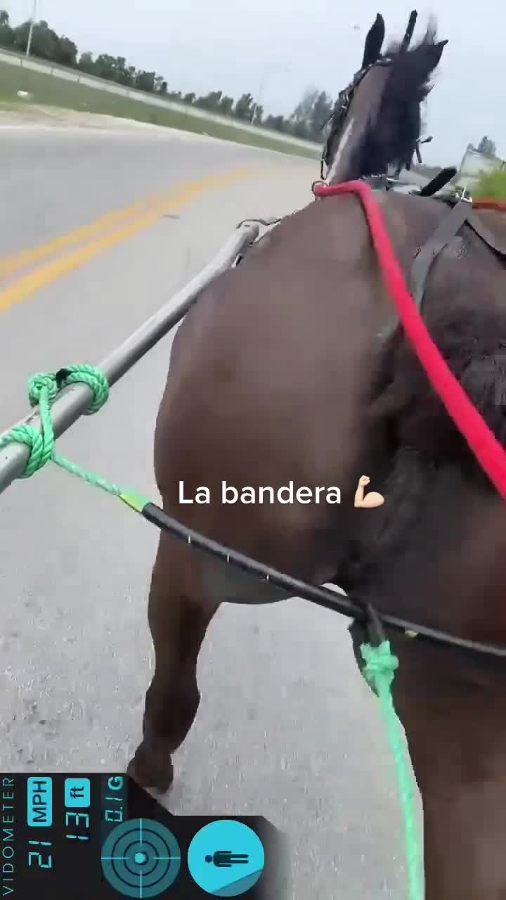 @Danny