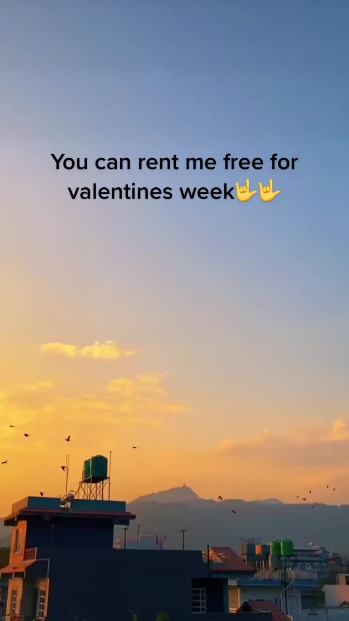 @hallelujah