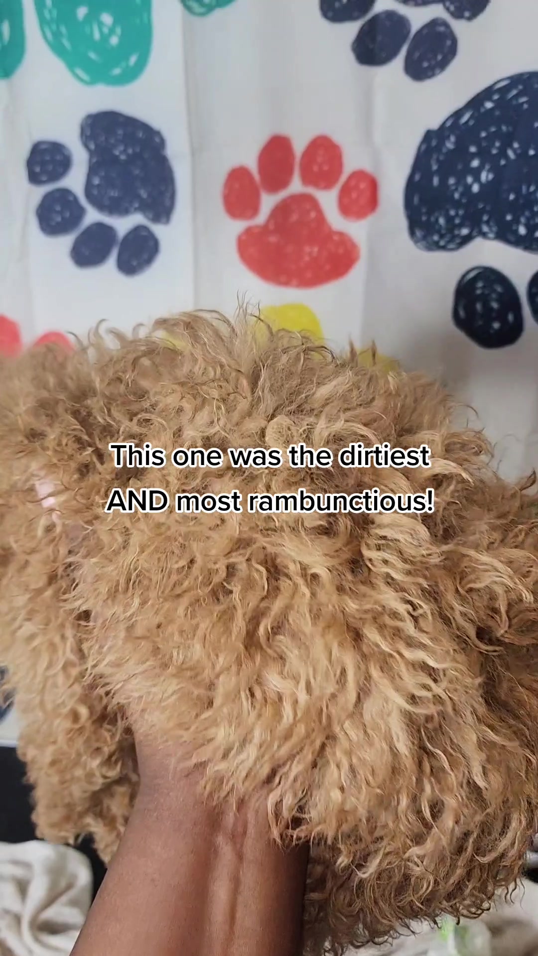 @diamondsdoggydaycare