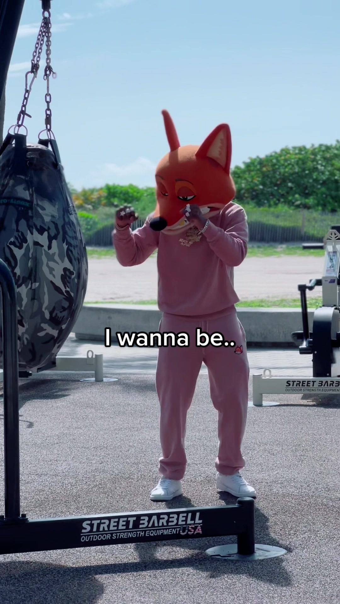 @Silky The Fox