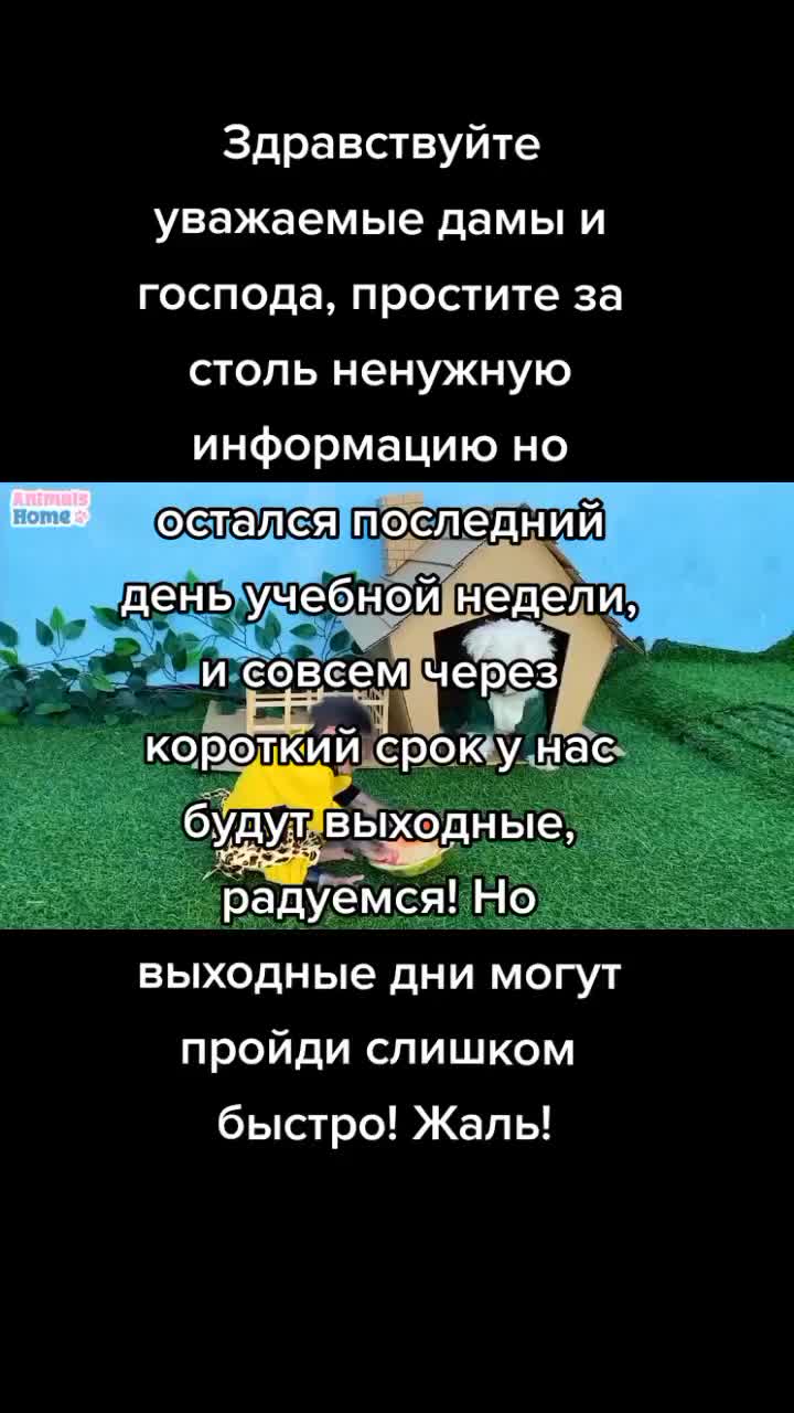@что тебе нужно сдесь, леди?