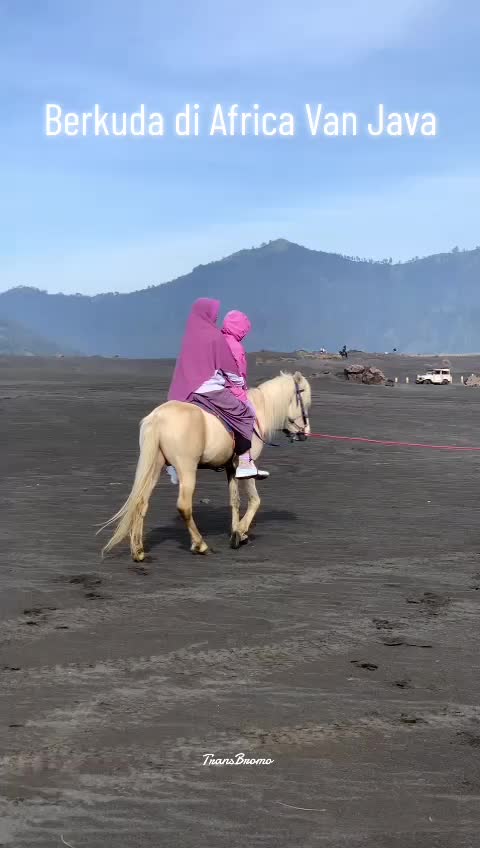 @transbromo