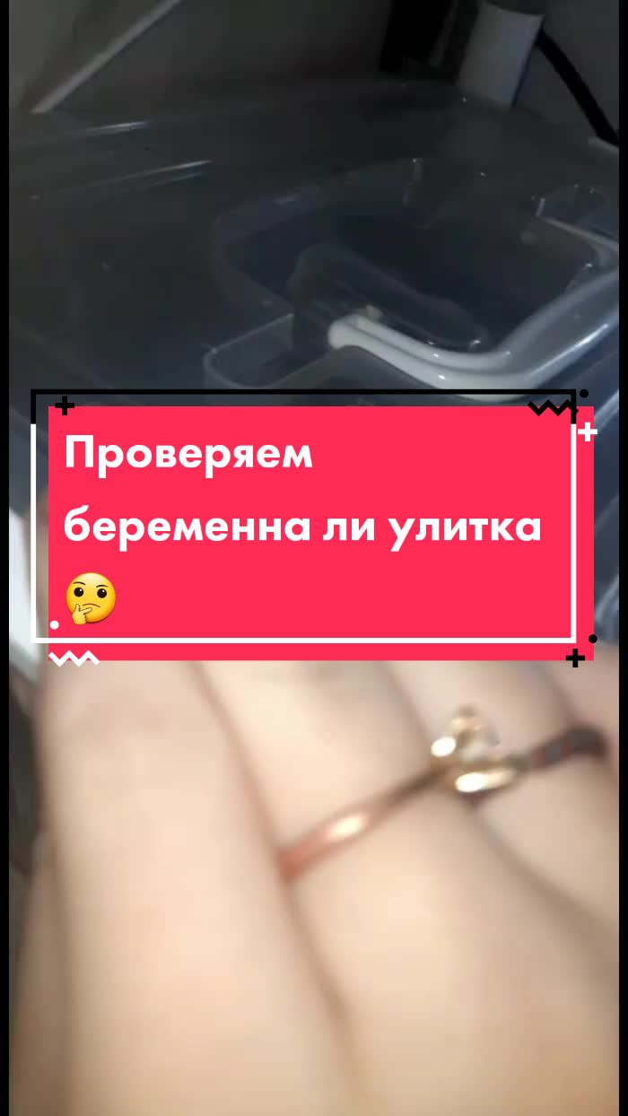 @Улиточки🐌💗