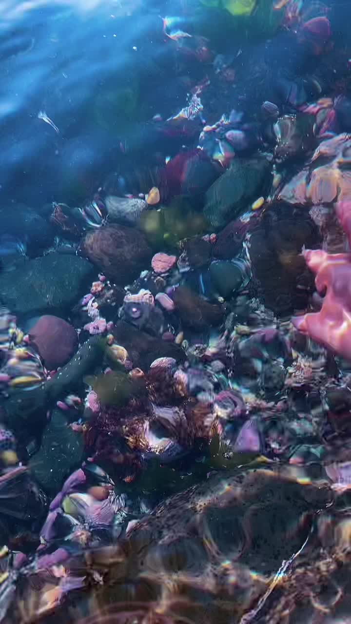 @kurague🐟