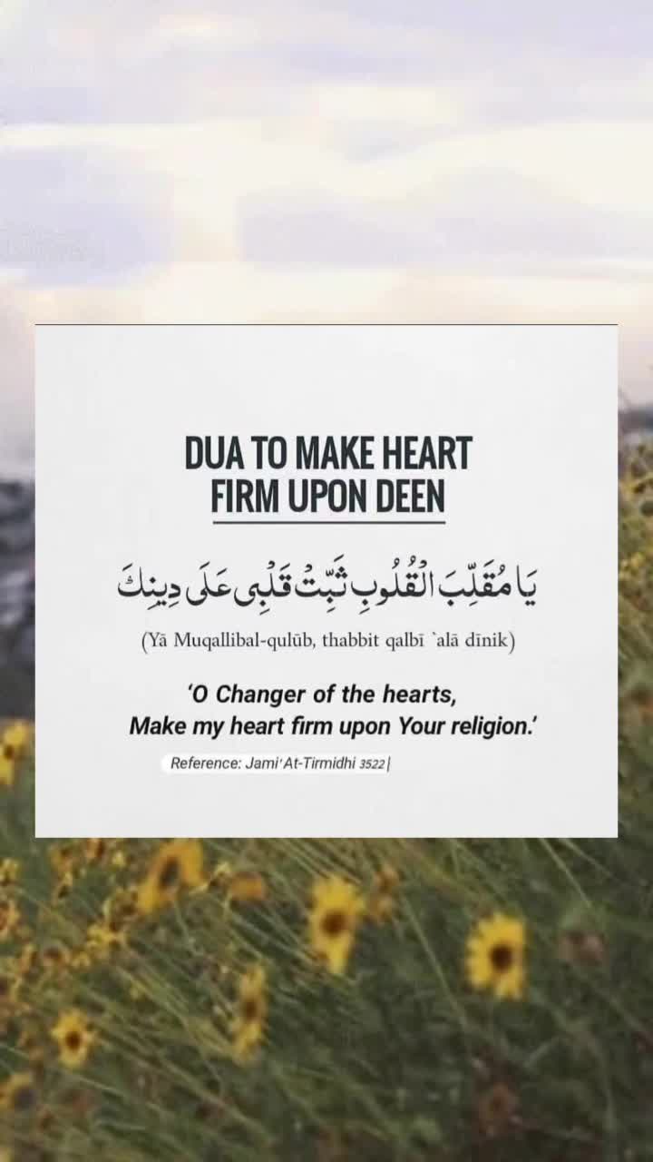 @Hafeeza_100