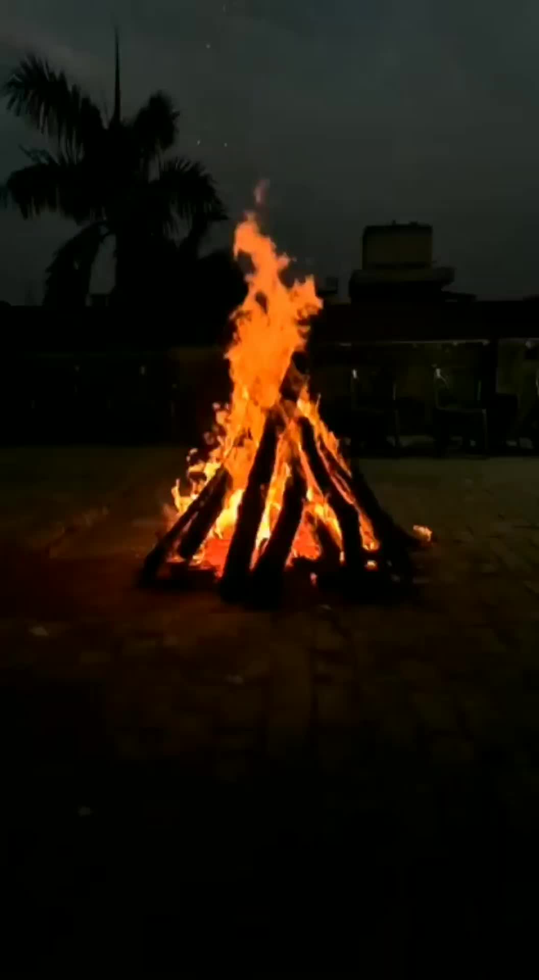 @shehzad kubdani