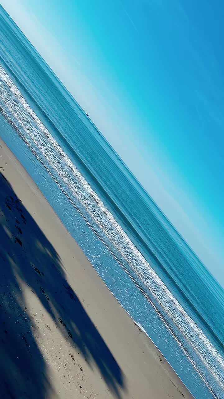 @adelinash1