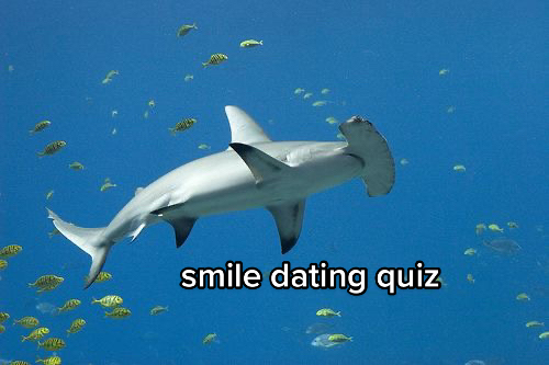 @landon