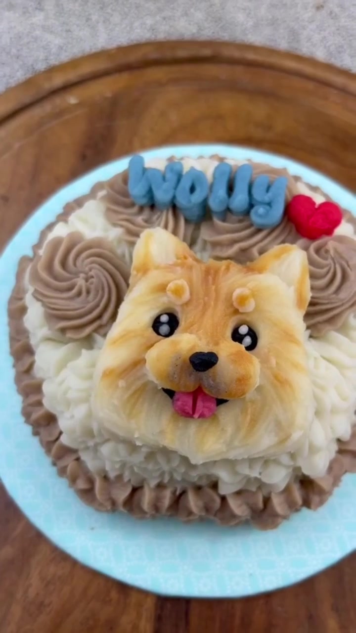 @makeandbakeforpets