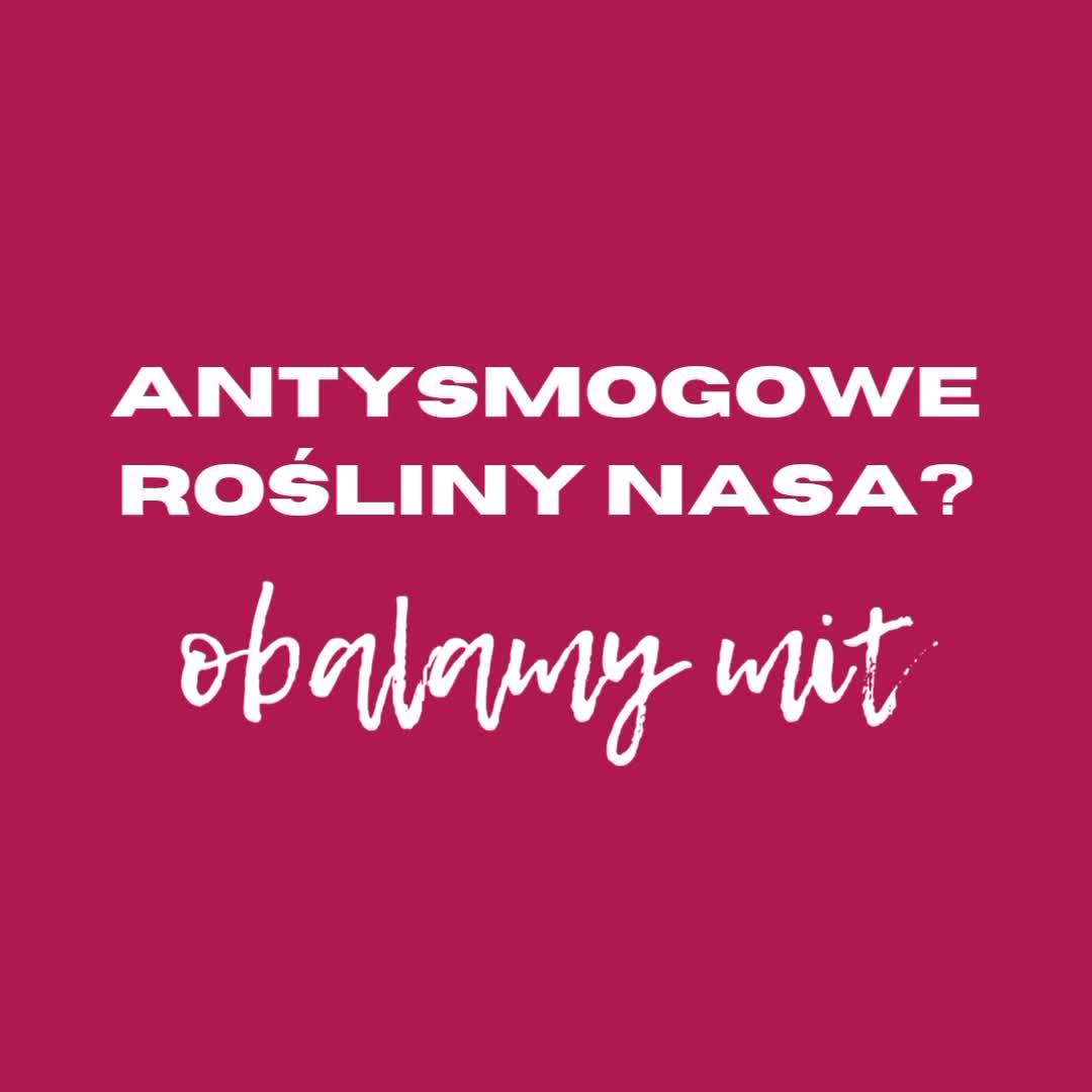 @Wydawnictwo Nieśpieszne