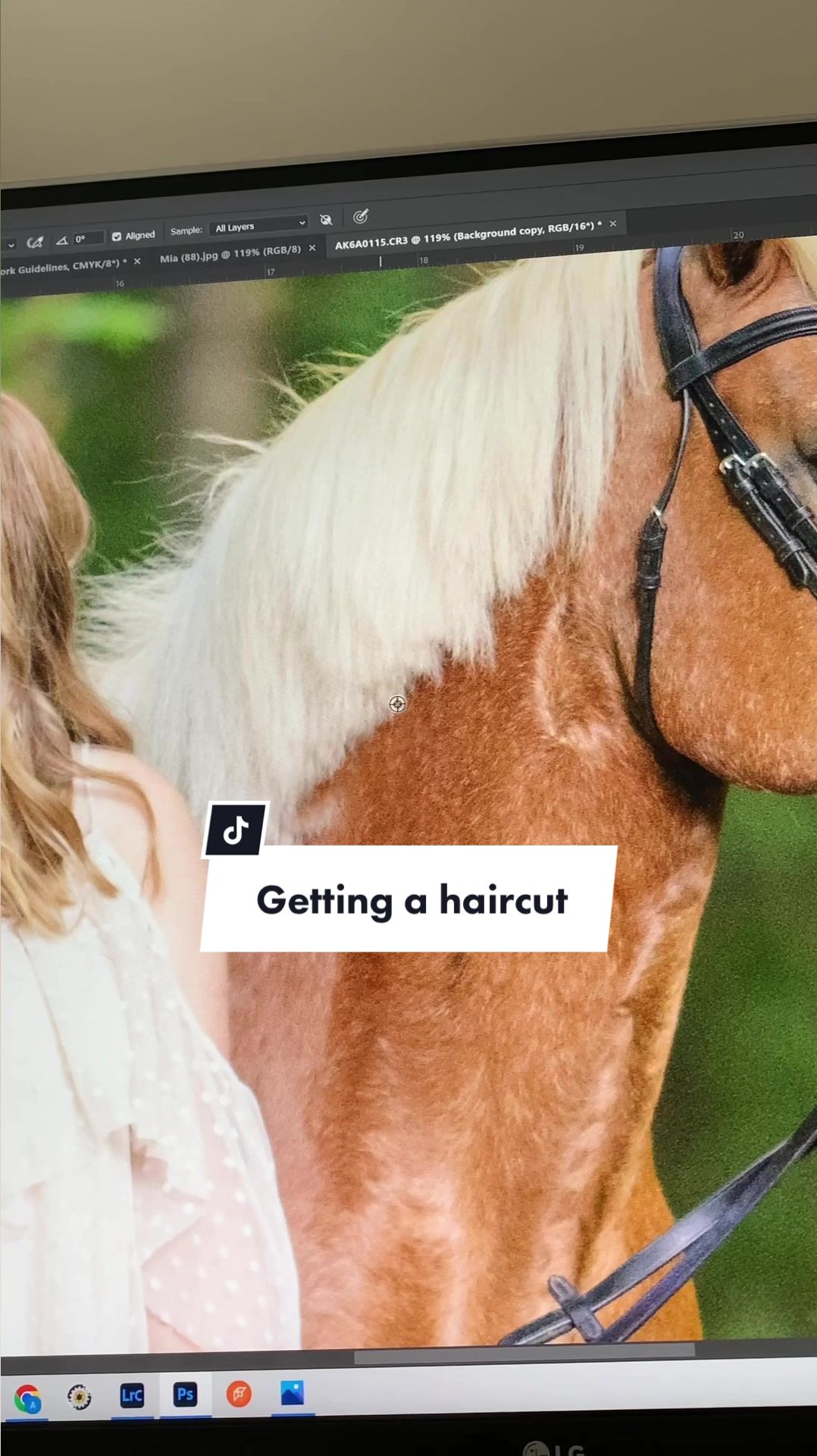 @Aubray | Equine Photographer