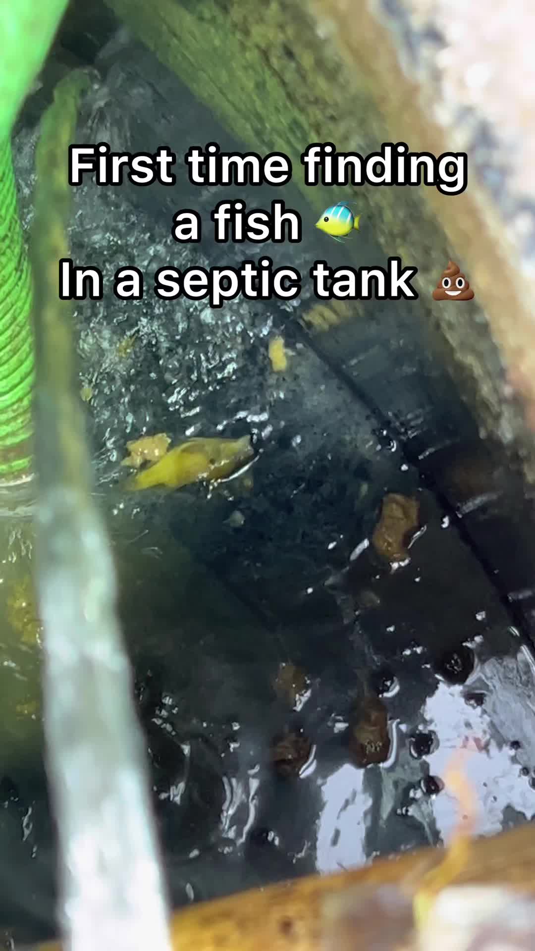@poorpumpersociety