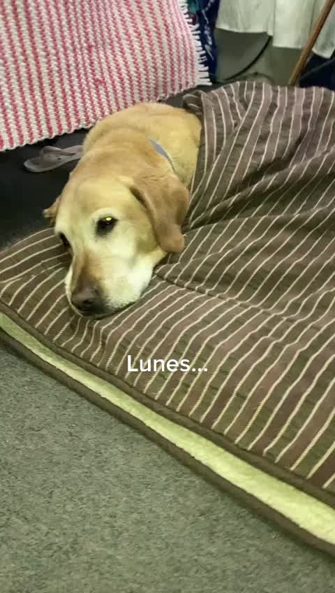@私はいちご!