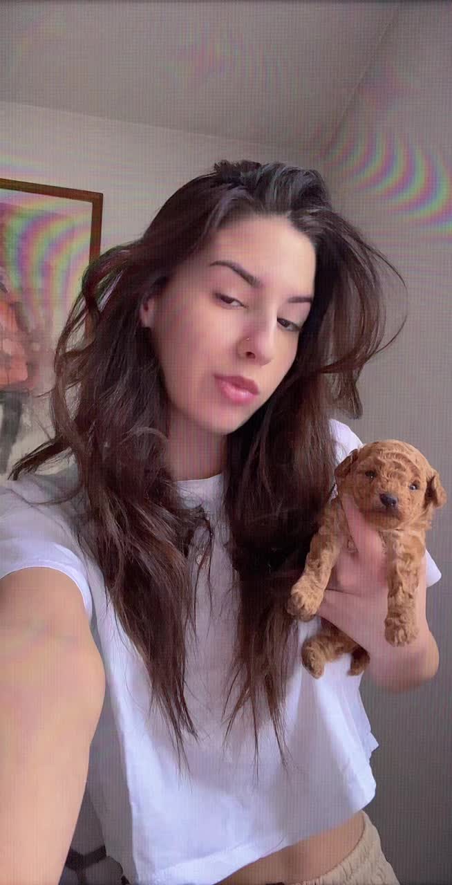 @bookii