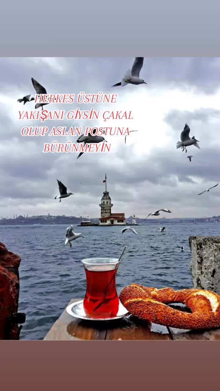 @MELİKEEEE🧚&zwj;♀️🌹🧚&zwj;♀️