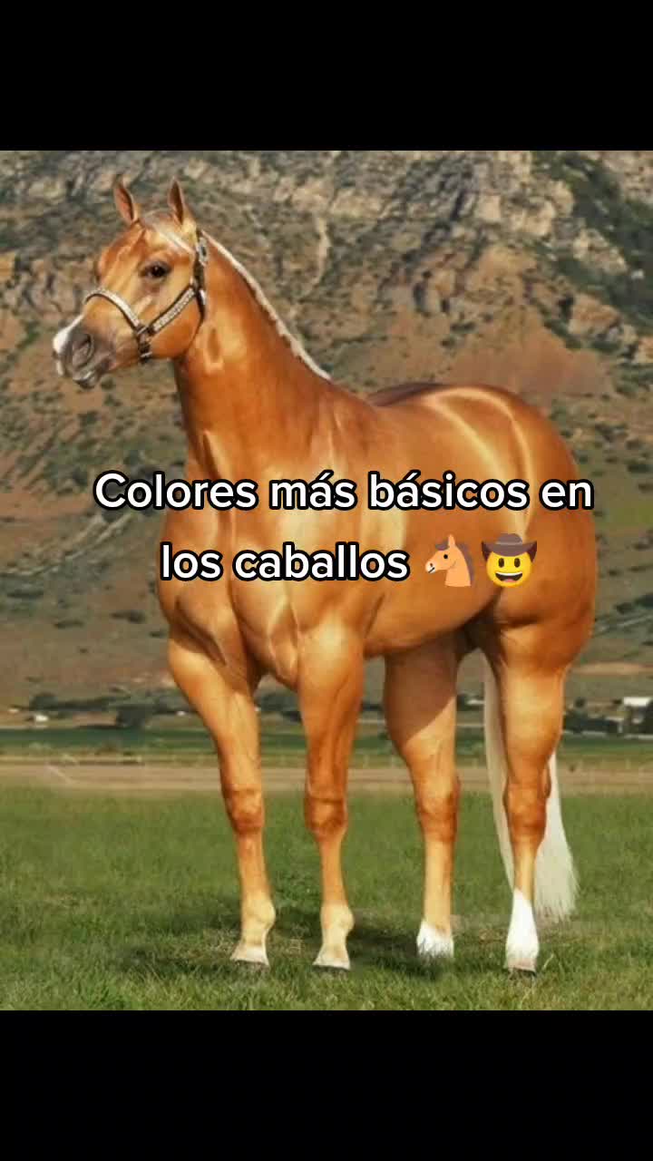 @Guillermo⚡☘️