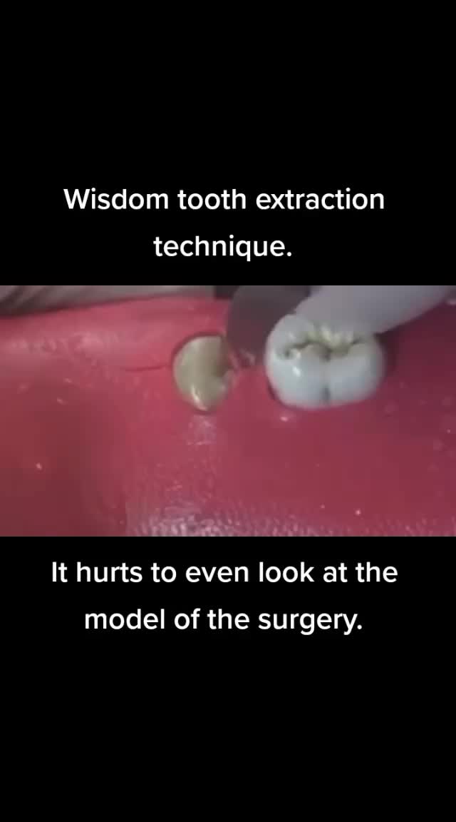 @Anatomy & Medicine
