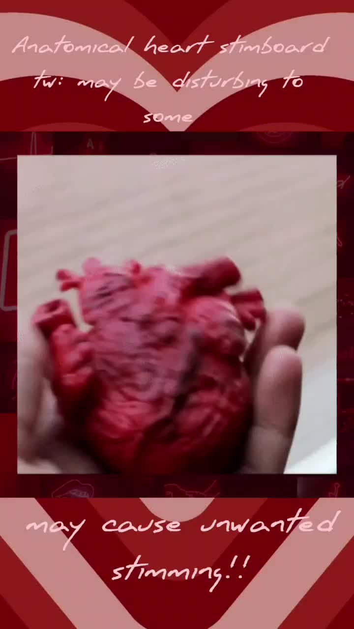 @St1mmzii