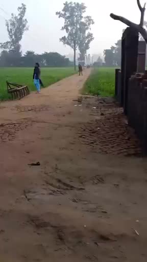 @chaudhary saab