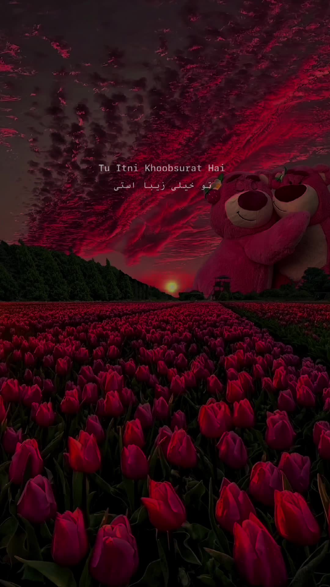 @شـــبــــیـر