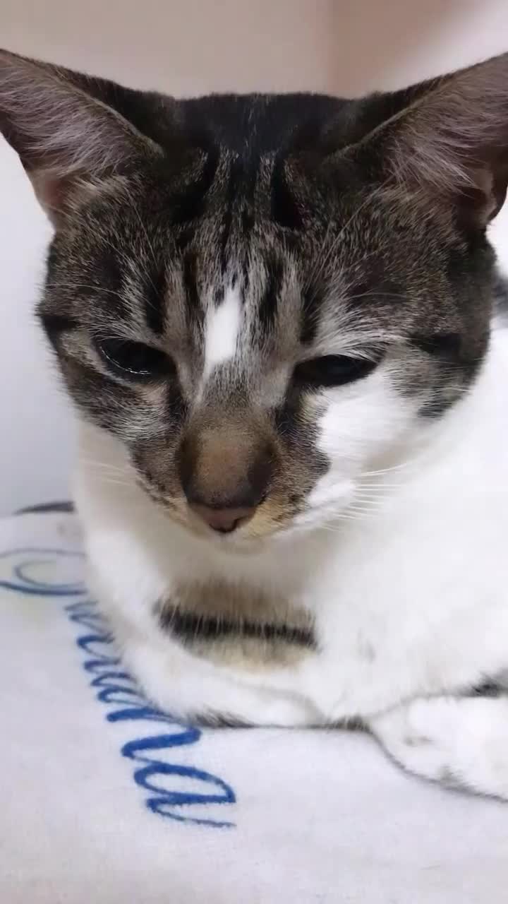 @Lua Maria & Bella Aparecida