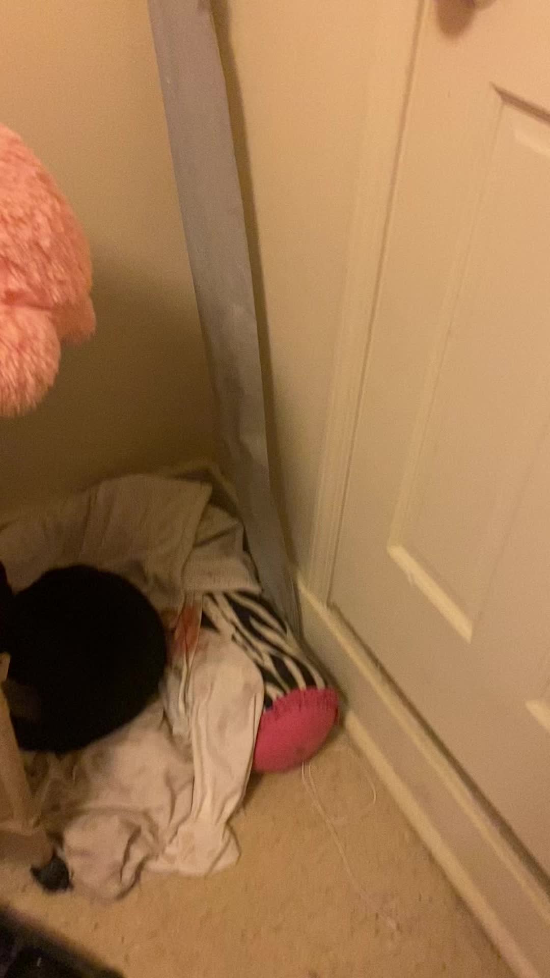 @zannakea