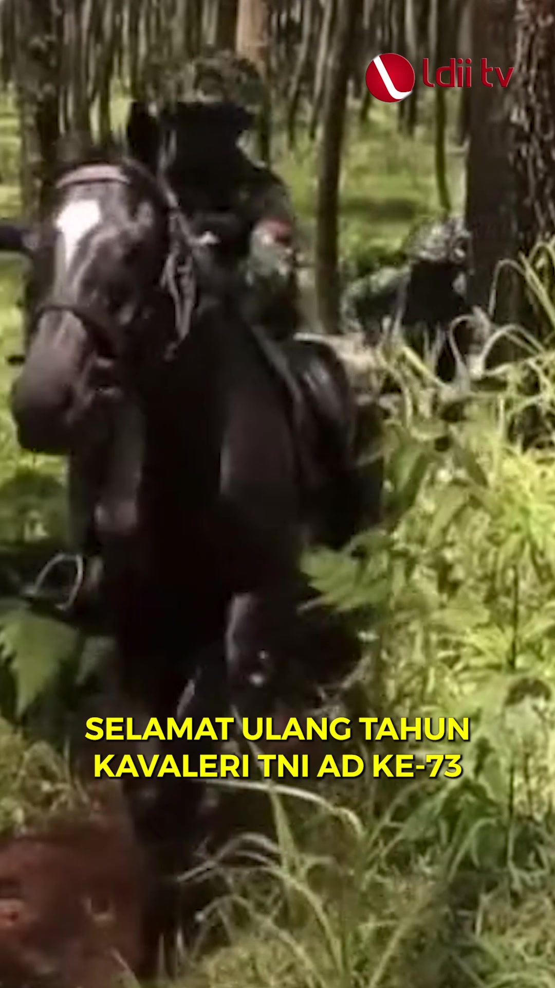@ldii tv