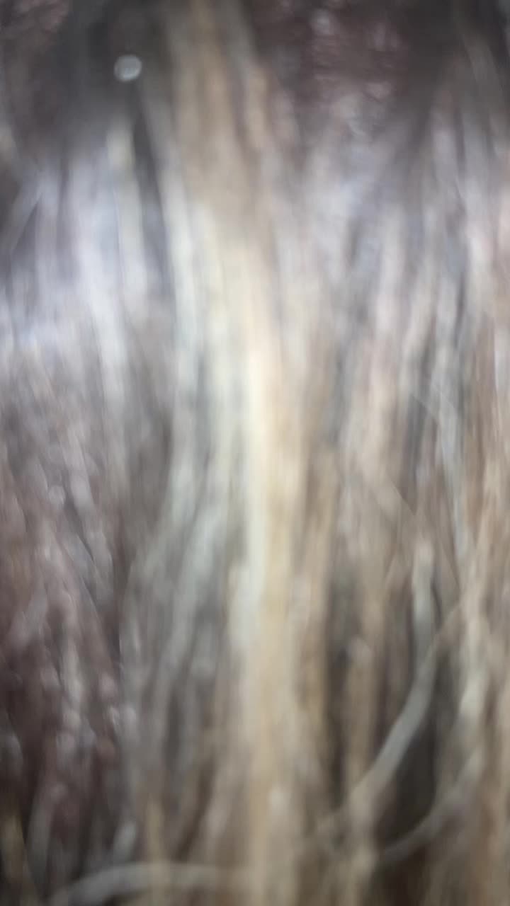 @Mirrahairsalon