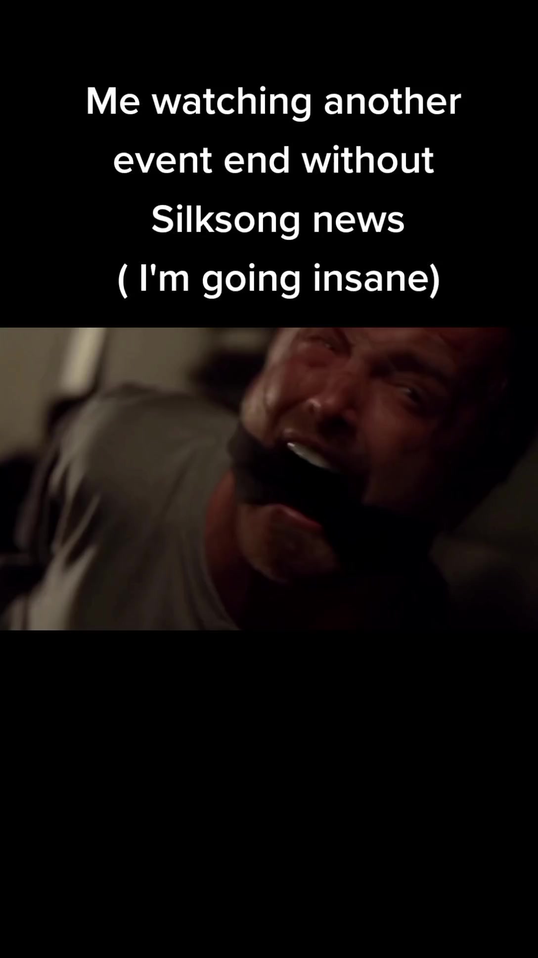 @Silksong memes