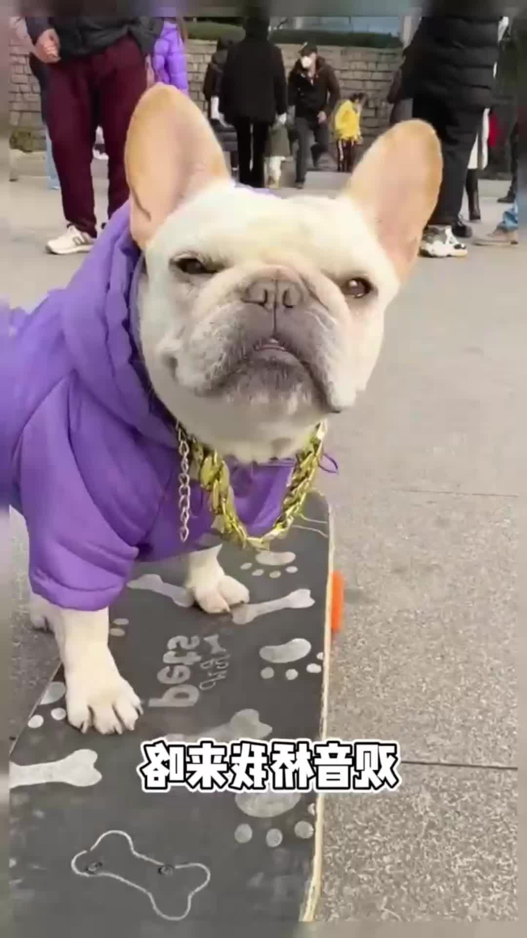 @gofrenobh5f