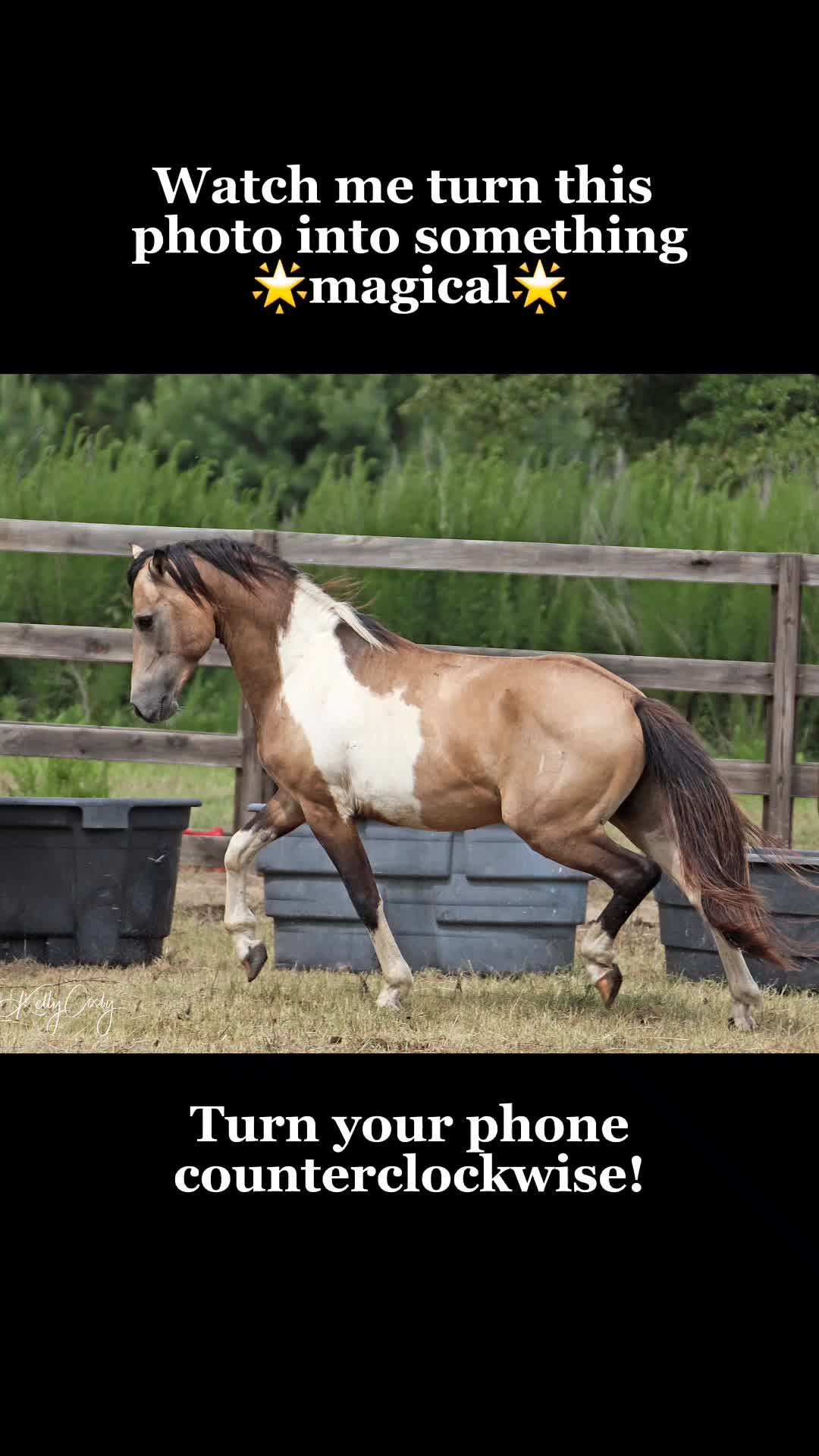 @Beth - Epona Media