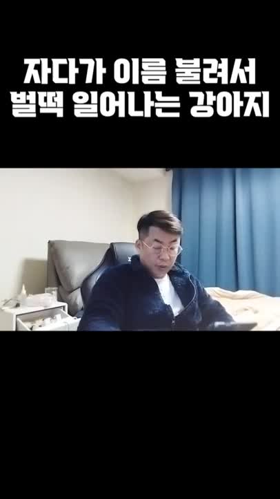 @곰돌이 티비