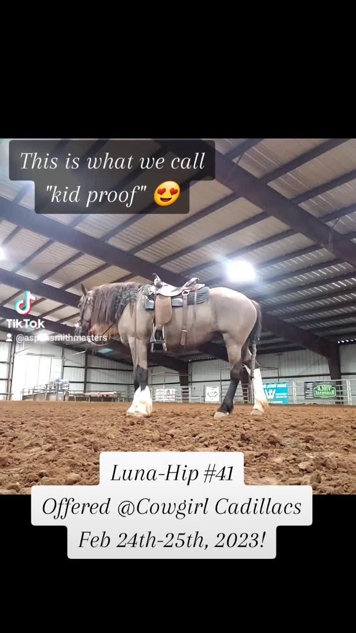 @Ozark Mountain Horses LLC