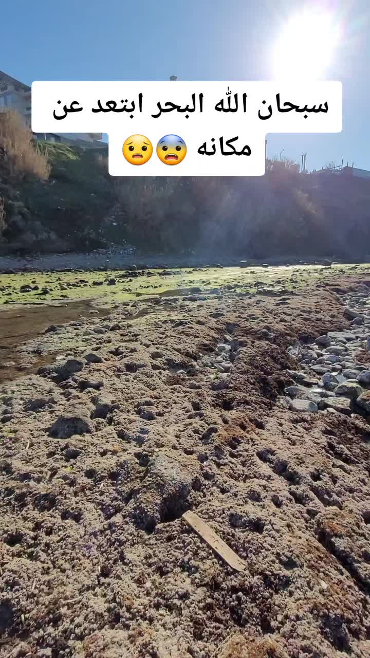 @nasro hz 🇩🇿