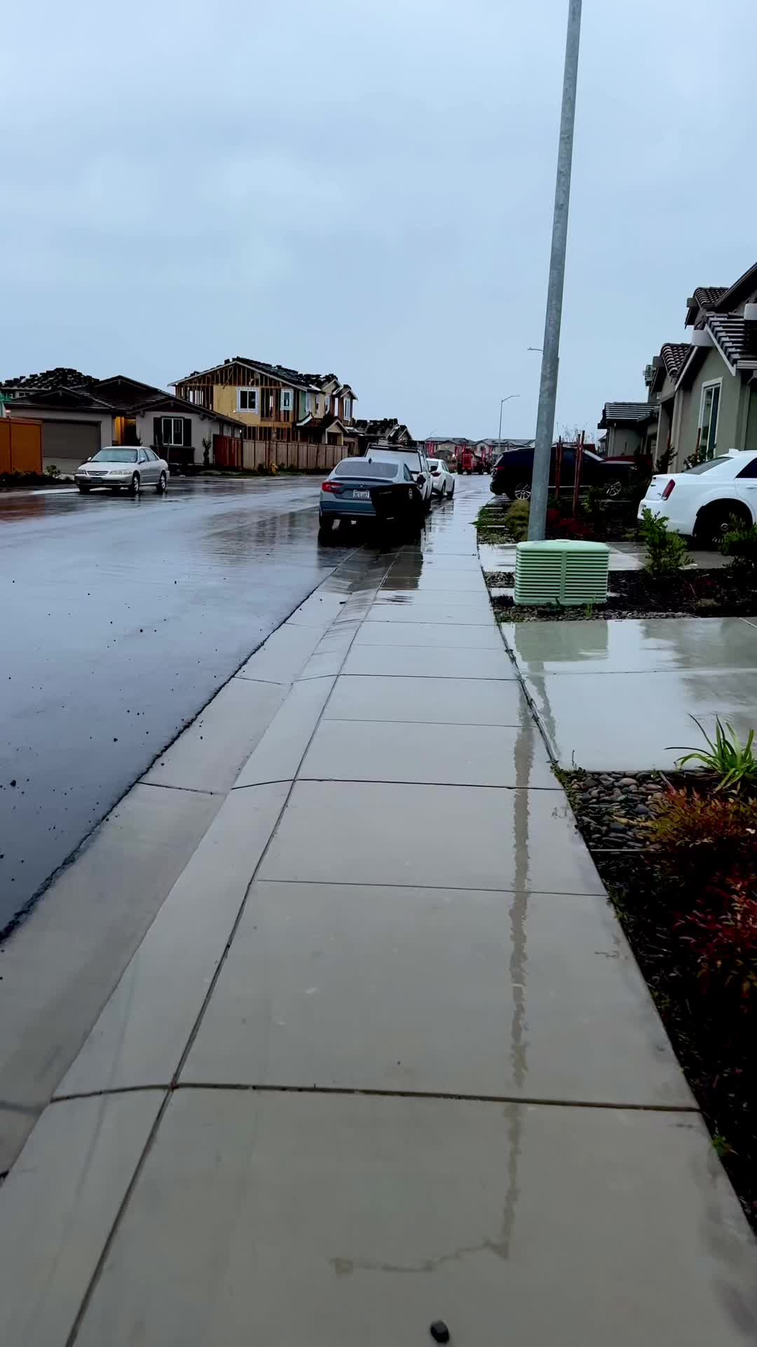 @Gurri California🇺🇸