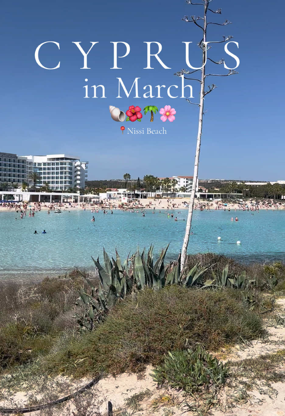 @&Mu;&alpha;&rho;ί&sigma;&alpha;🌺