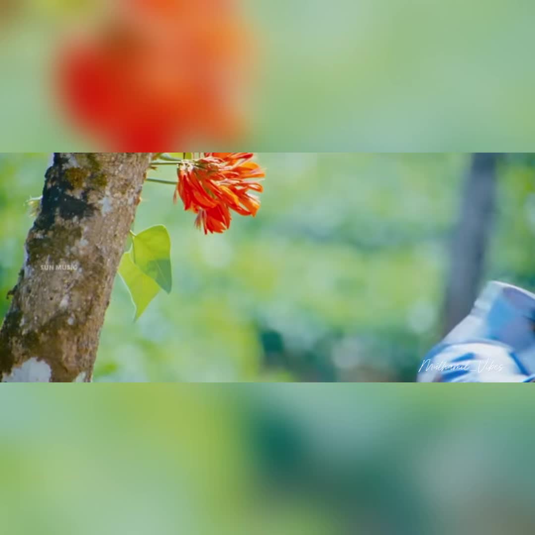 @muthamil_vibes