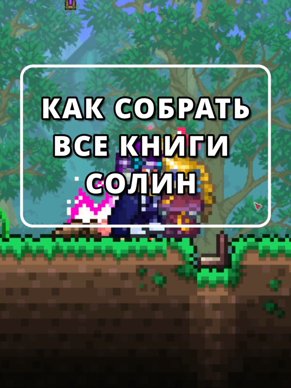  KotYara kotyara terra2 0 