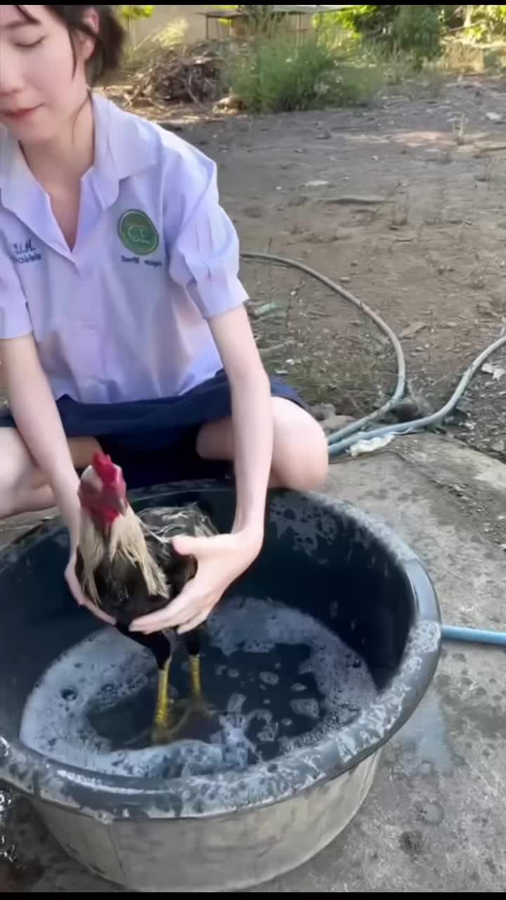 @คิวคัม