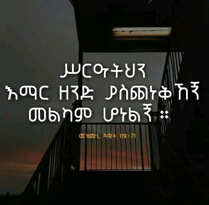 @naftanan77