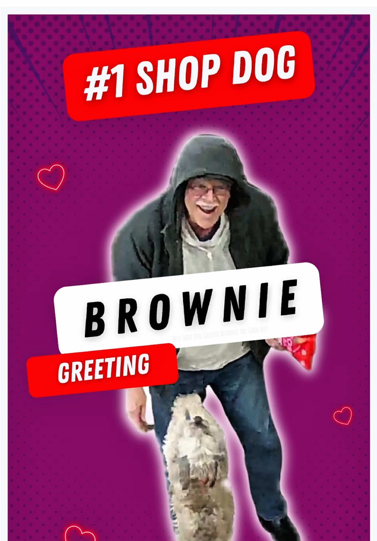 @Brownie #1 Store Dog Greeter