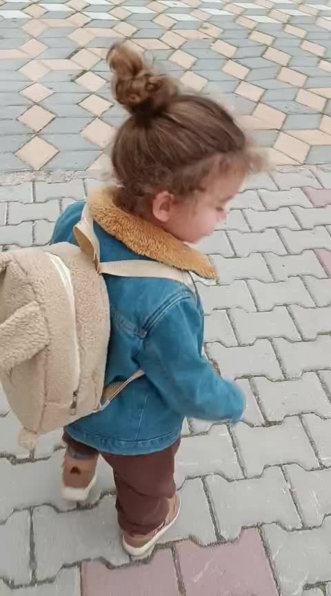 @F.L.Z