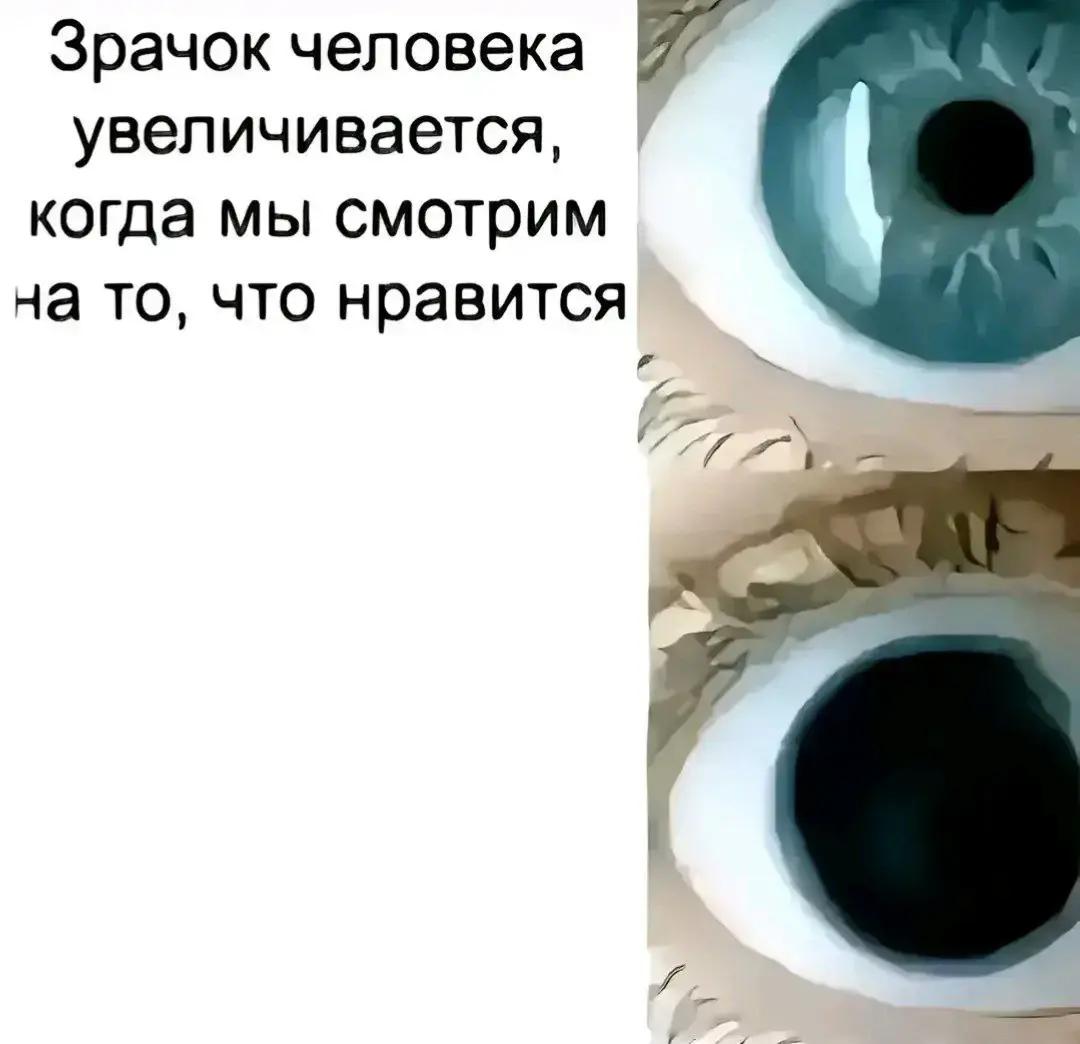 @𝐦𝐞𝐯𝐢𝐱