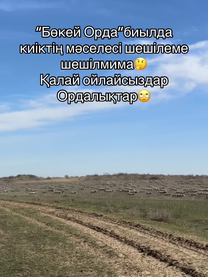 @Erkhat