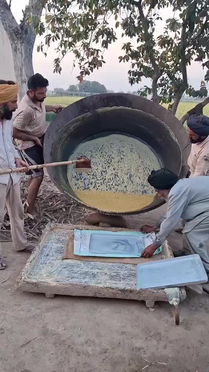 @MandeepBainspb12