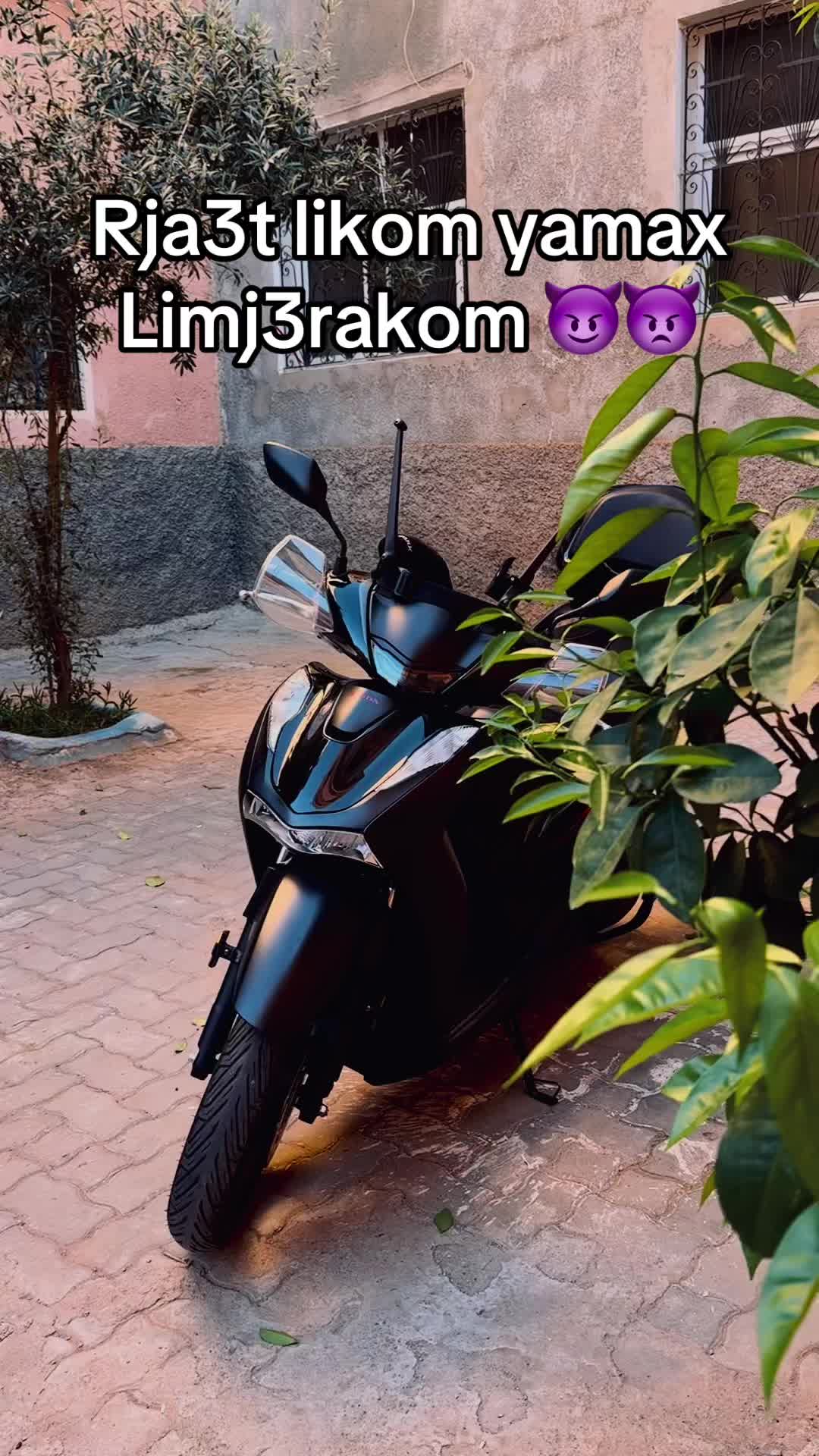 @Sonofmarrakech