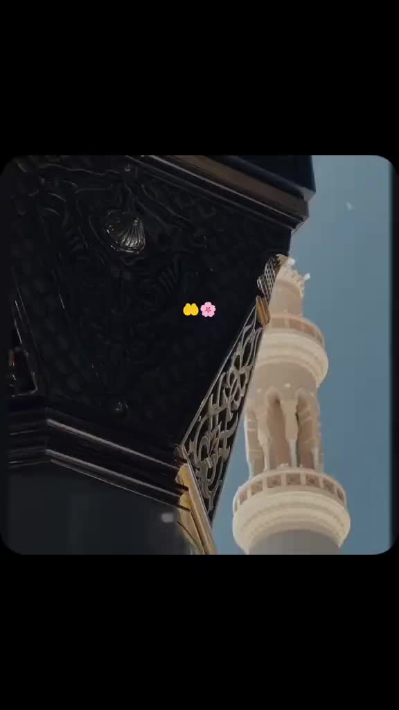 @༆𝓓𝓲𝓵𝓵 𝓭𝓪 𝓳𝓪𝓷𝓲 ✨